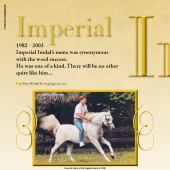n.17 - Imperial Imdal
